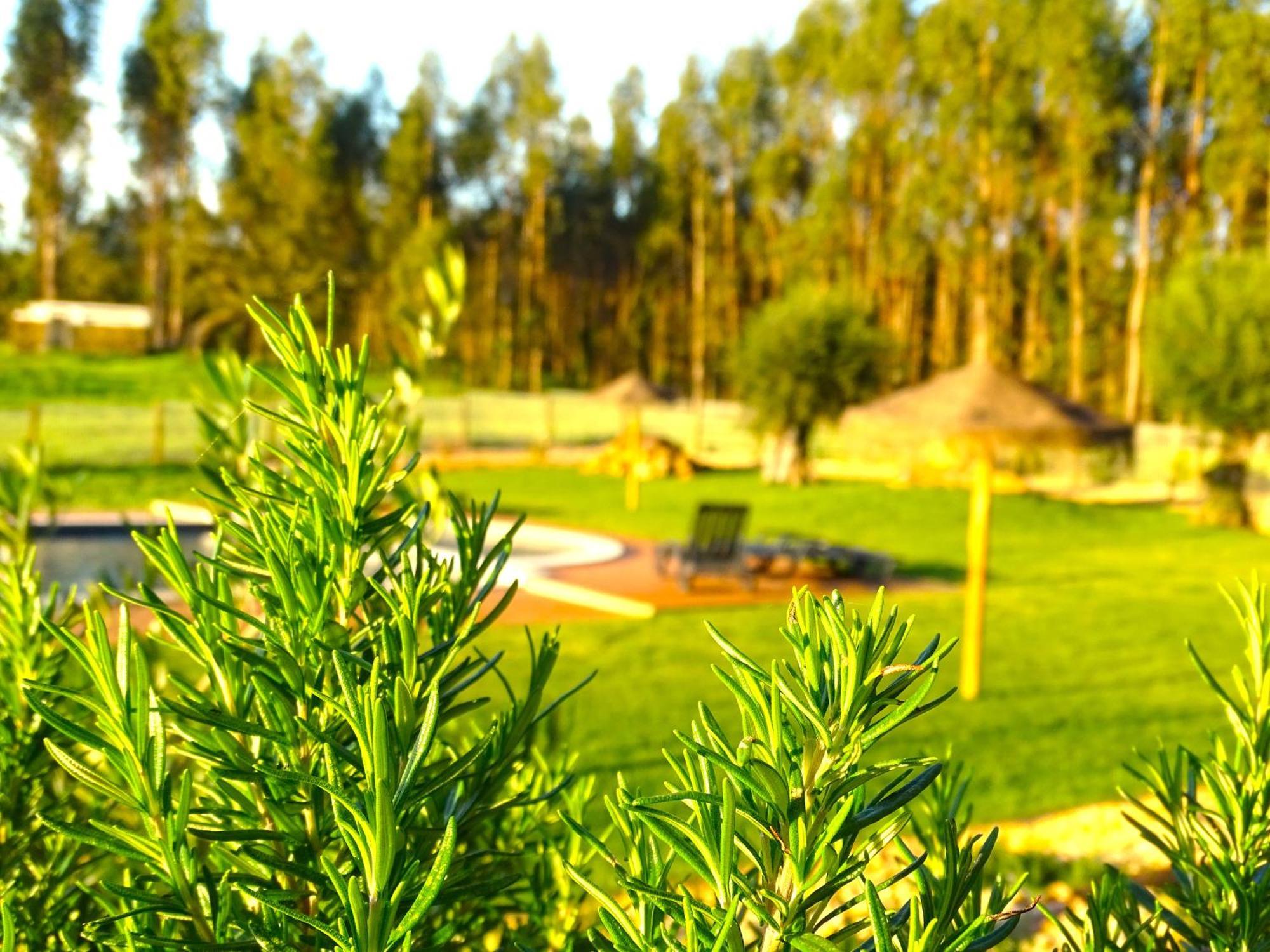 Herdade Vale De Gaios By Stay In Alentejo Sao Luis Ngoại thất bức ảnh