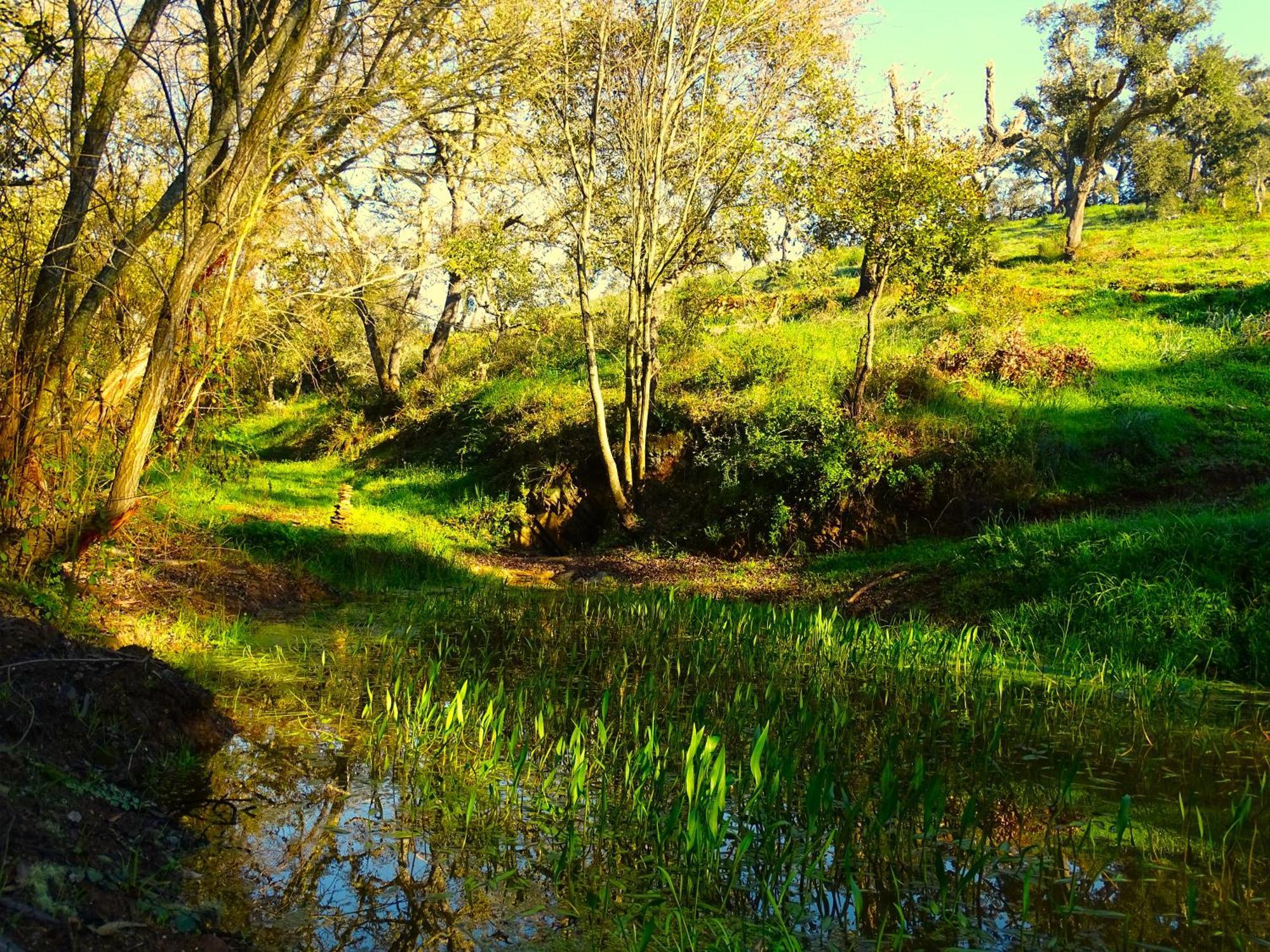 Herdade Vale De Gaios By Stay In Alentejo Sao Luis Ngoại thất bức ảnh